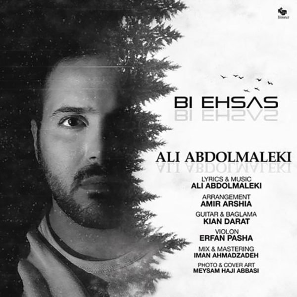 دانلود آهنگ زیبای بی احساس از علی عبدالمالکی
